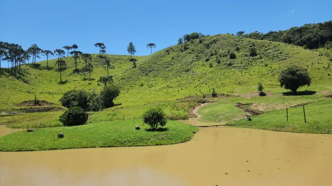 LINDA VISTA ARAUCARIAS