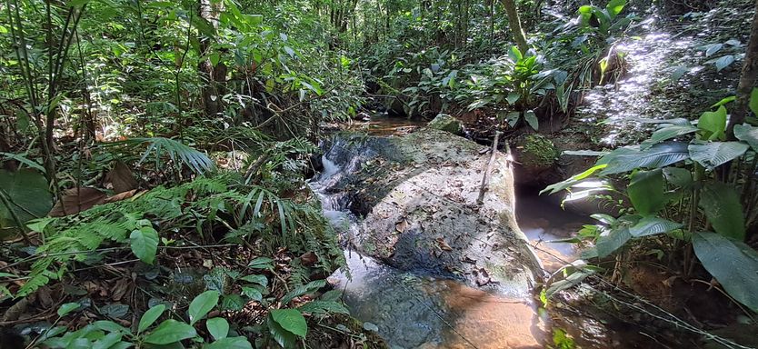 Riacho dentro do sitio