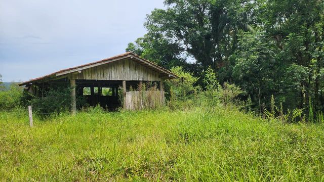 CASA DAS VACAS E CAVALOS...