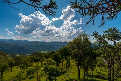 ARAUCARIAS E LINDA VISTA