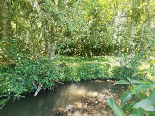 AGUA CORRENTE E NATUREZA