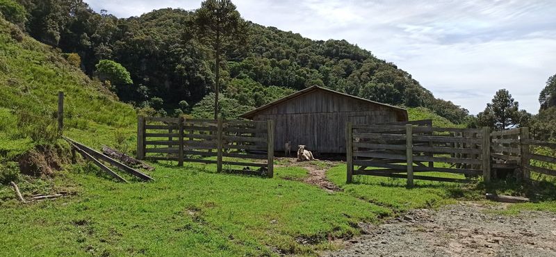 CASA DAS VACAS
