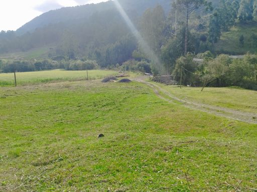 PASTAGEM E MONGTANHAS