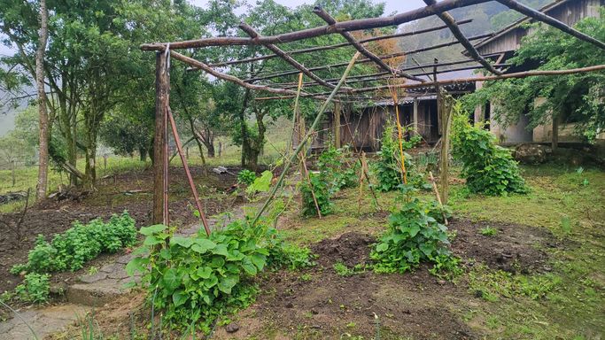 ÇPARREIRA DE CHUCHU