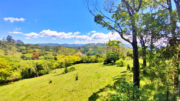LINDA VISTA DA VARANDA DA CASA
