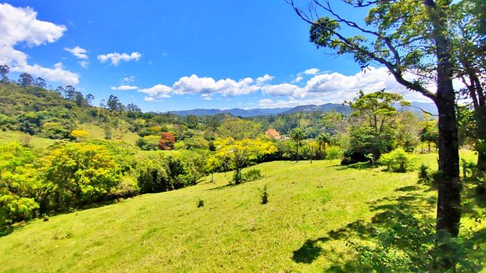 VISTA DE CINEMA DA VARANDA....