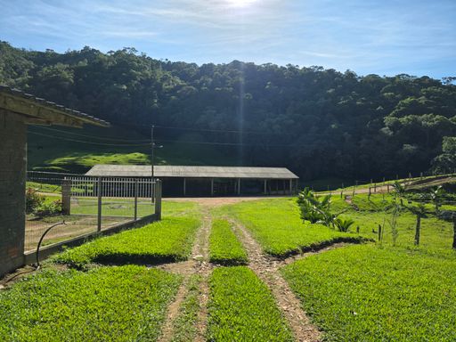Estrada chegando no barracao