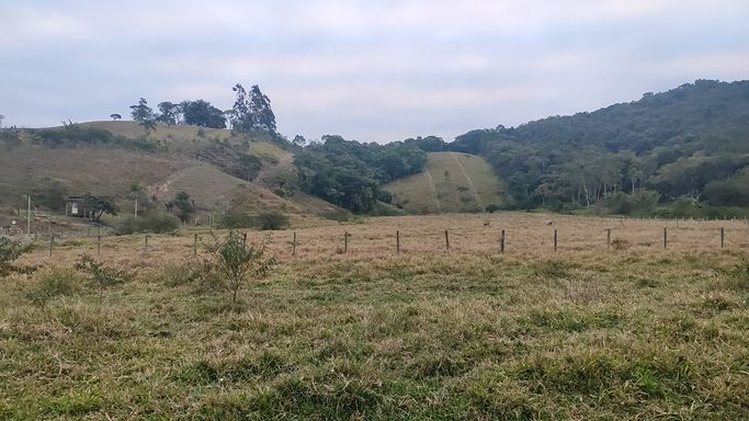 TERRENO PLANO PARA VACAS E CAVALOS