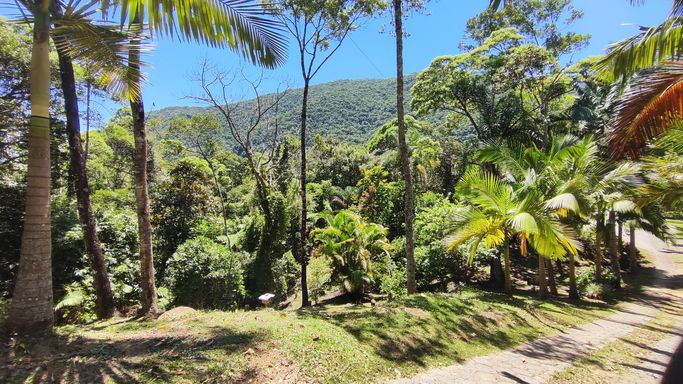 POMAR E VISTA PARA A NATUREZA