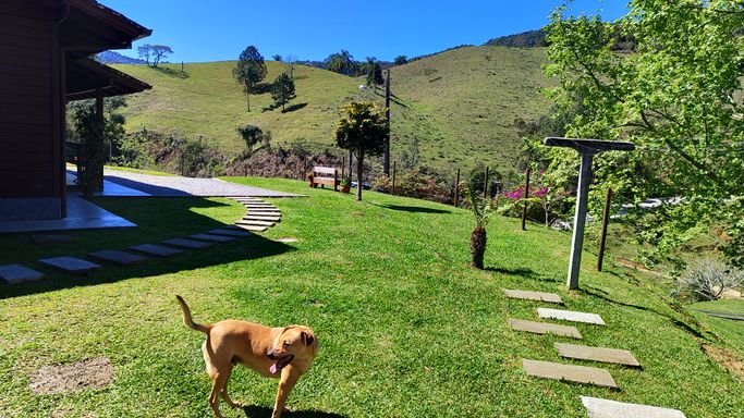 CACHORRO E JARDIM