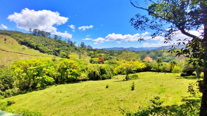 VISTA DA VARANDA , UM PARAISO....