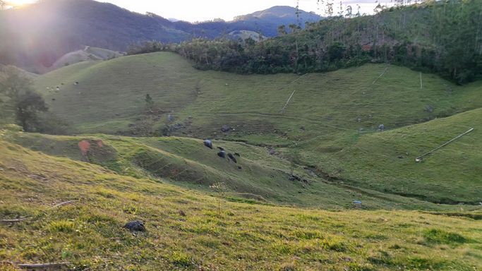 linda vista e pastagem
