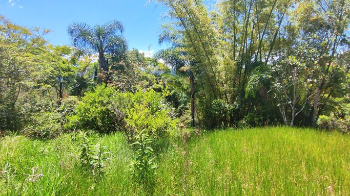 GRAMADO E BOSQUE DA CHÁCARA