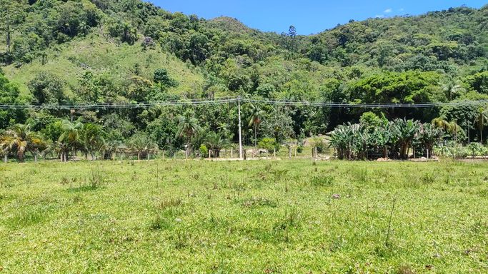PASTAGEM E ENERGIA TRIFASICA