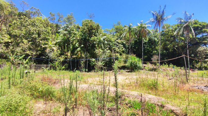 TERRA PLANA E LINDO POAMR PRODUZINDO