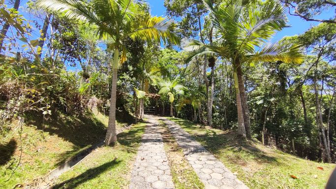 ENTRADA COM LINDASPALMEIRAS...