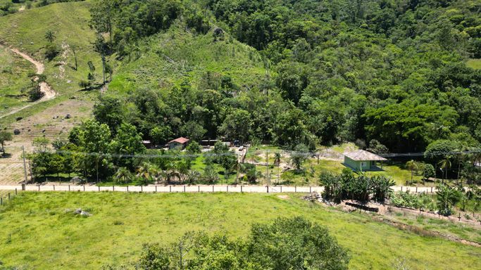 PASTAGEM, POMAR, CASA, E NATUREZA