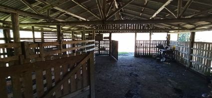 Galpão  das vacas