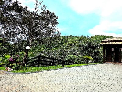 Calcamento pavor  com jardim