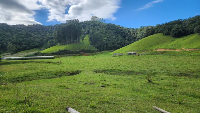 PASTAGEM E NATUREZAS