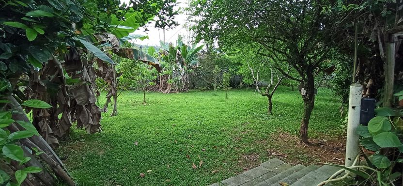 jardim e pomar