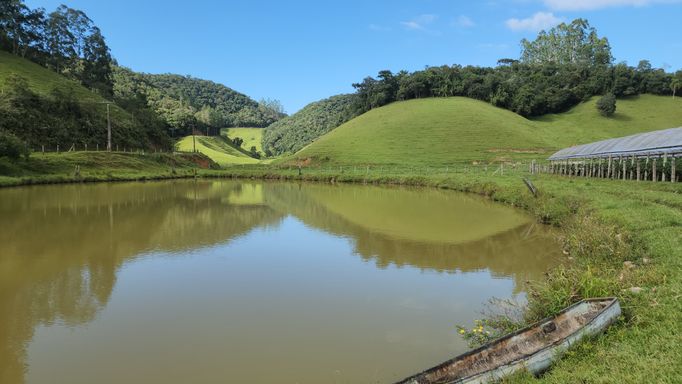LINDA LAGOA E BELA PASTAGEM