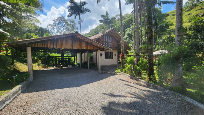GARAGEM CASA E PALMEIRAS LINDAS