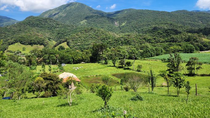 POMAR E LINDA VISTA DE CARTAO POSTAL