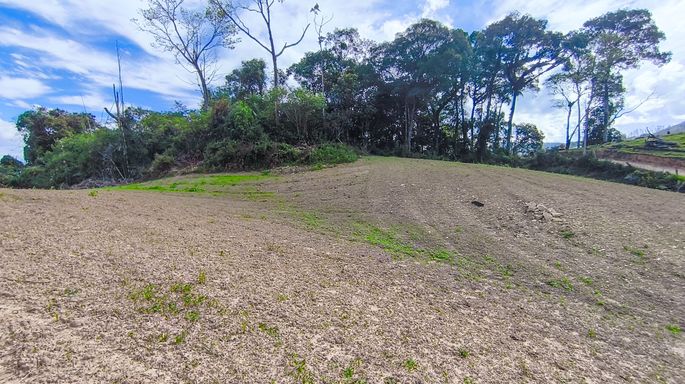 Terraplanagem com mata ao fundo