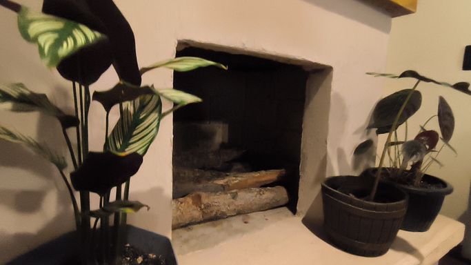 Lareira e plantas