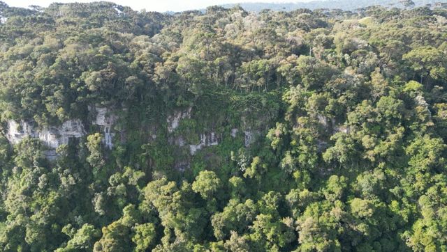 LINDO PAREDAO DE SANTA TERESA