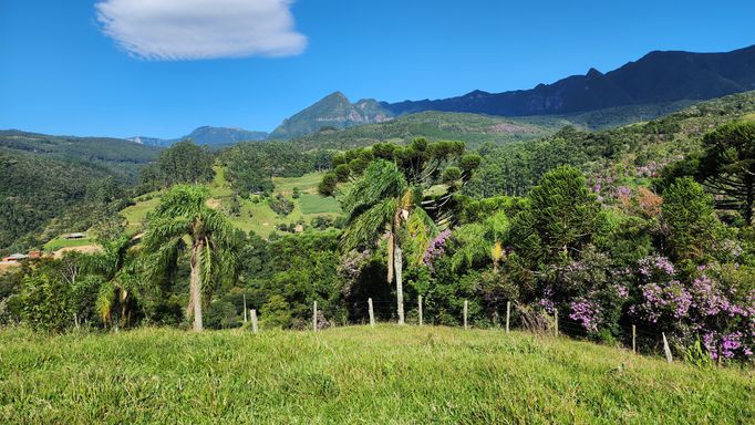 PASTO, BOSQUE E VISTA LINDA...