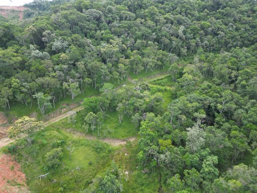 NATTUREZA E PASTAGEM...