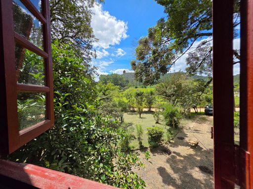 JANELA DO CHALE E VISTA PARA O POMAR E JARDIM