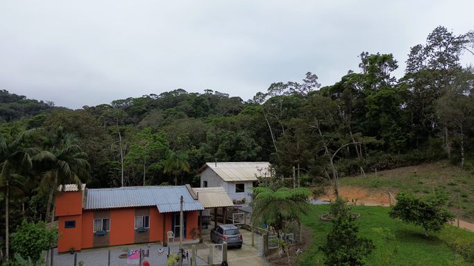 Casas cercadas de verde