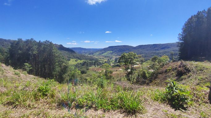Linda vista