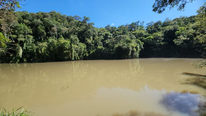 AMPLO ACUDE A BOSQUE