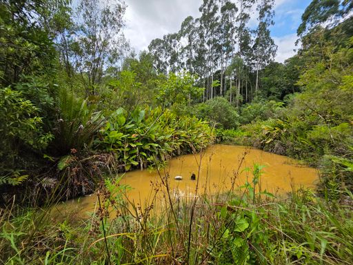 Lagoa cheia com água da nascente do sitio