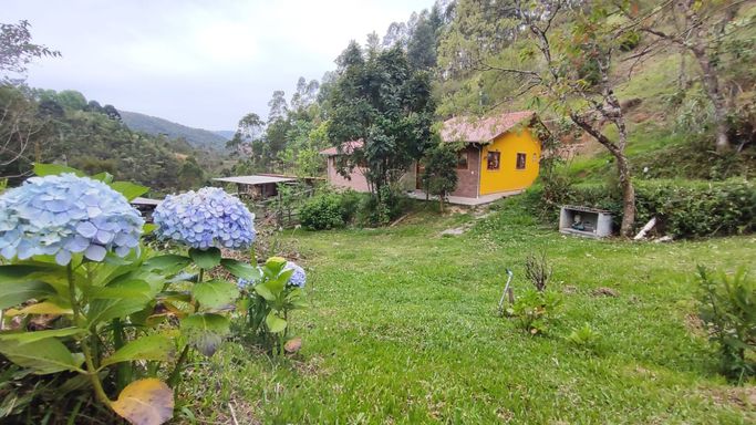 CASA PRINCIPAL COM GRAMADO E FLORES