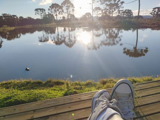 LAGO E LINDAS ARAUCARIAS