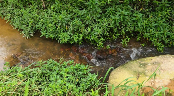 Riacho com água corrente nas pedrinhas