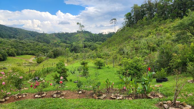 POMAR  COM MUITAS FRUTAS