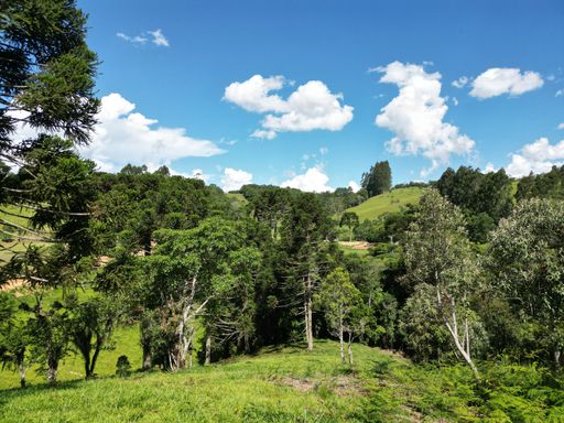 GRAMADO E LINDO BOSQUE...