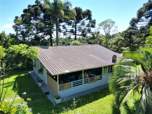 CASA  E ARAUCÁRIAS