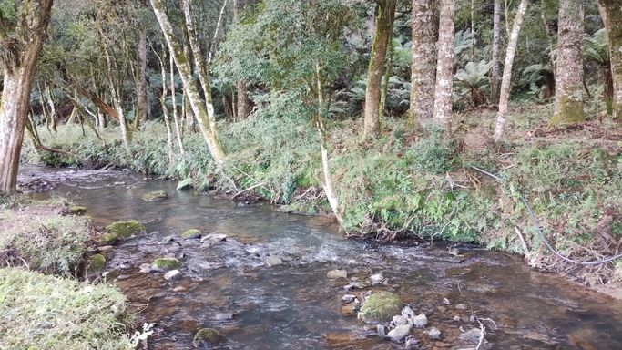 RIO COM AGUAS CRISTALINAS