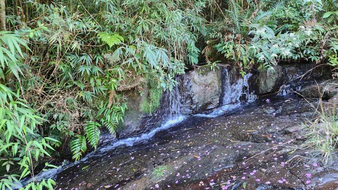 RIACHO COM CASCATAS...