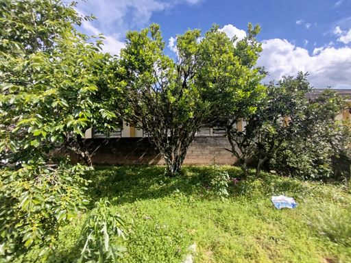 POMAR DA CASA EM ABGEKINA - SC