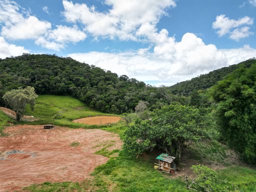 NATUREZA E  CHAO DE CASA
