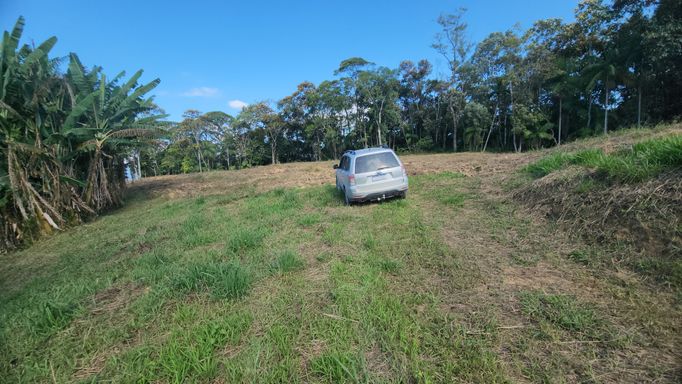 NATUREZA E TERRENO PARA PLANTAR