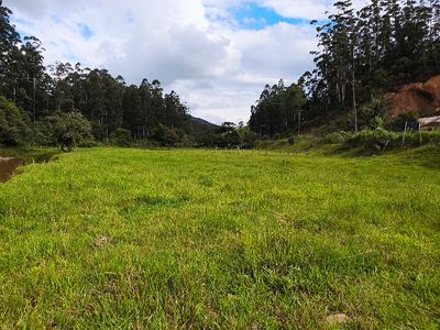 Area plana com pastagem